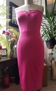 Venus Fitted Day Dress